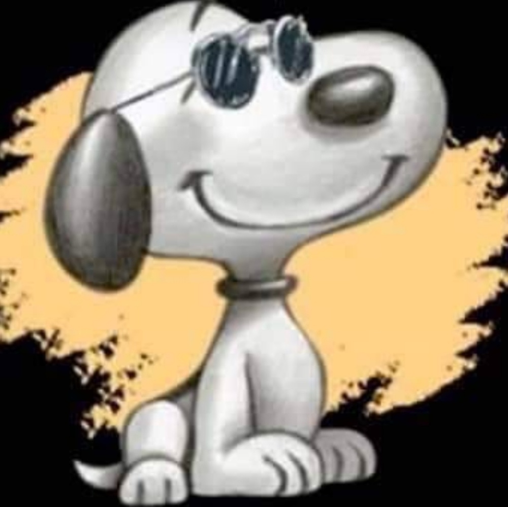 Cool Cat